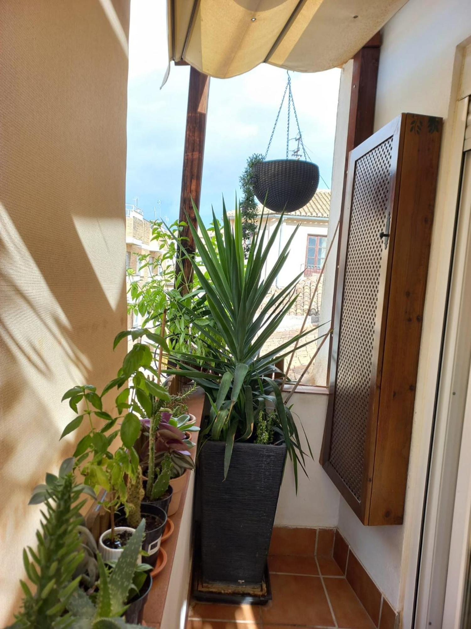 Atico Exclusivo En El Centro De Granada Apartman Kültér fotó