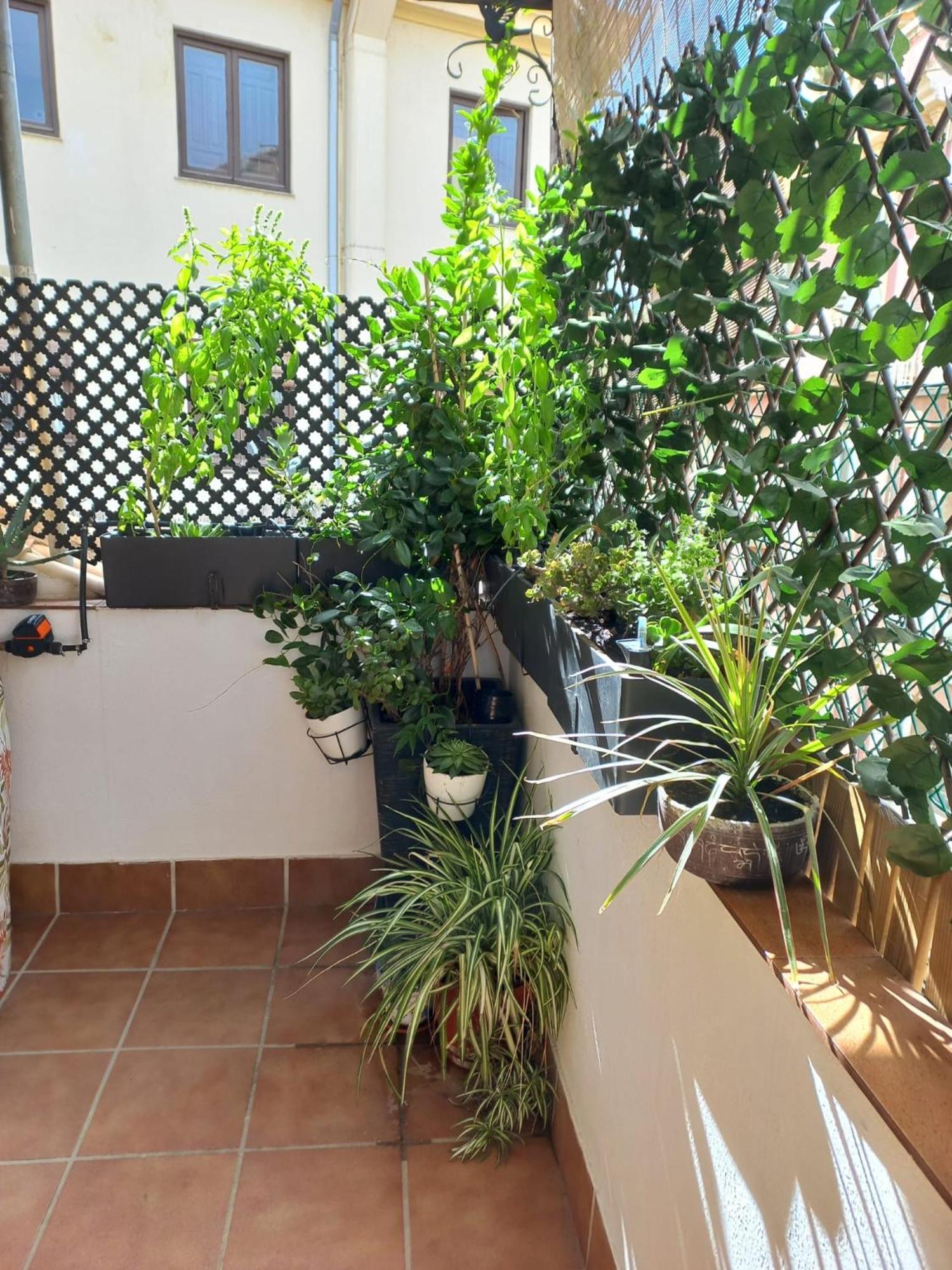 Atico Exclusivo En El Centro De Granada Apartman Kültér fotó